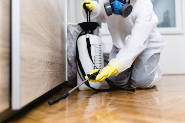 Best Pest Control for Restaurants  in Allentown, PA