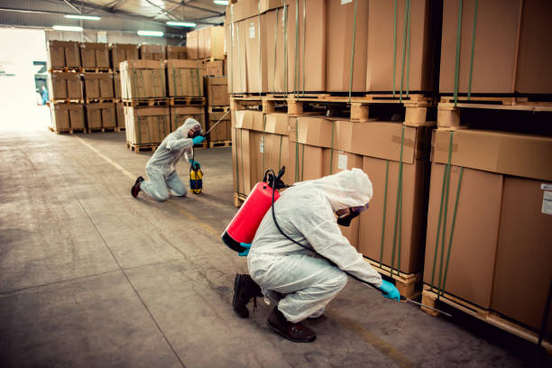 Best Bed Bug Extermination  in Allentown, PA