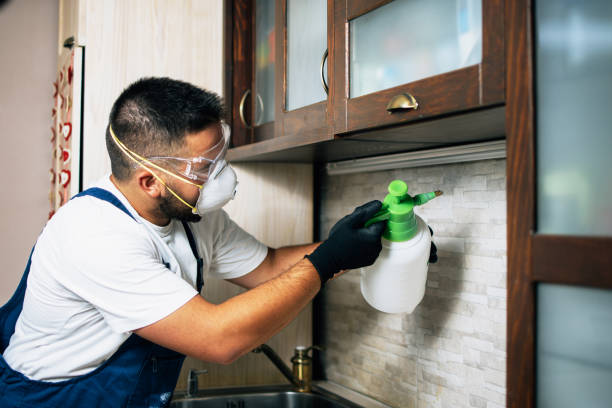 Best Commercial Pest Control Services  in Allentown, PA