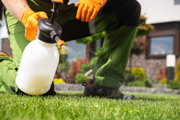 Best Commercial Pest Control Services  in Allentown, PA