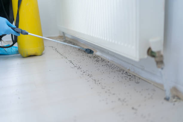Best Best Pest Control Companies  in Allentown, PA