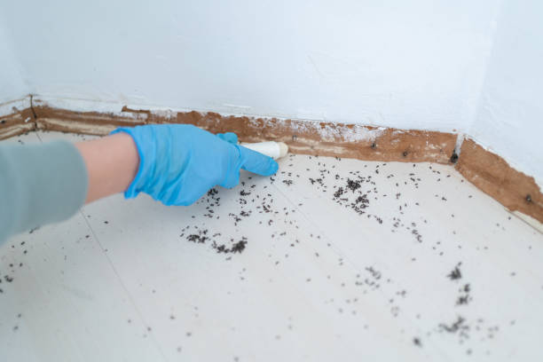 Best Wildlife Control Services  in Allentown, PA