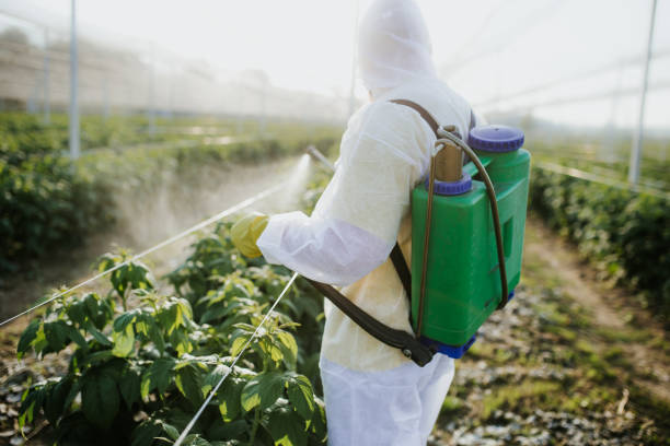 Best Ant Control Services  in Allentown, PA